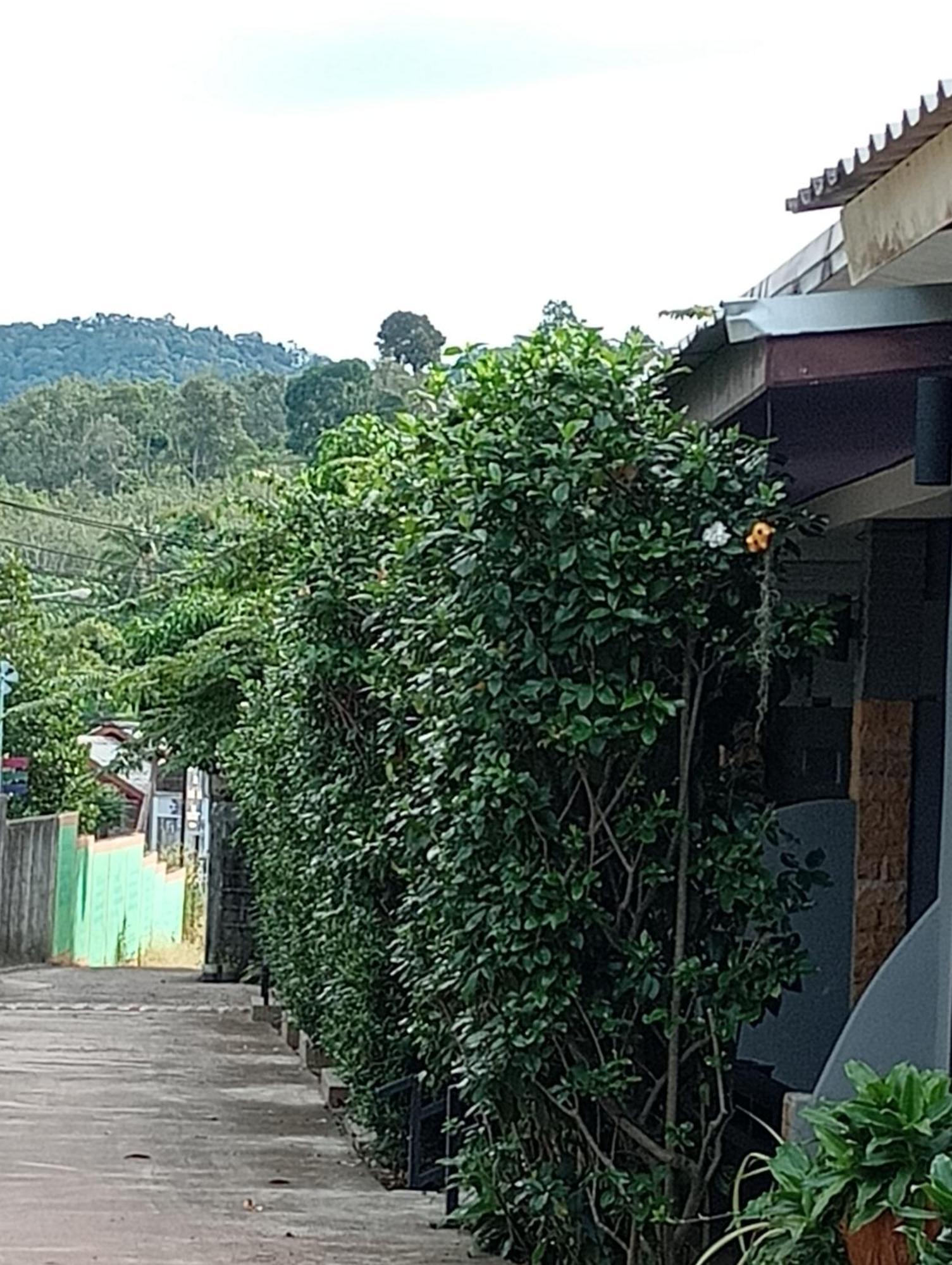 Lanta Beautiful Beach House Ko Lanta Стая снимка